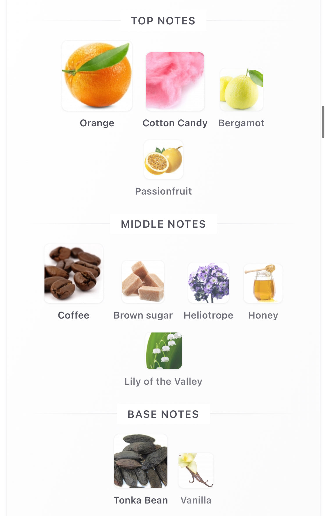 Aroma Concept JAHWARI