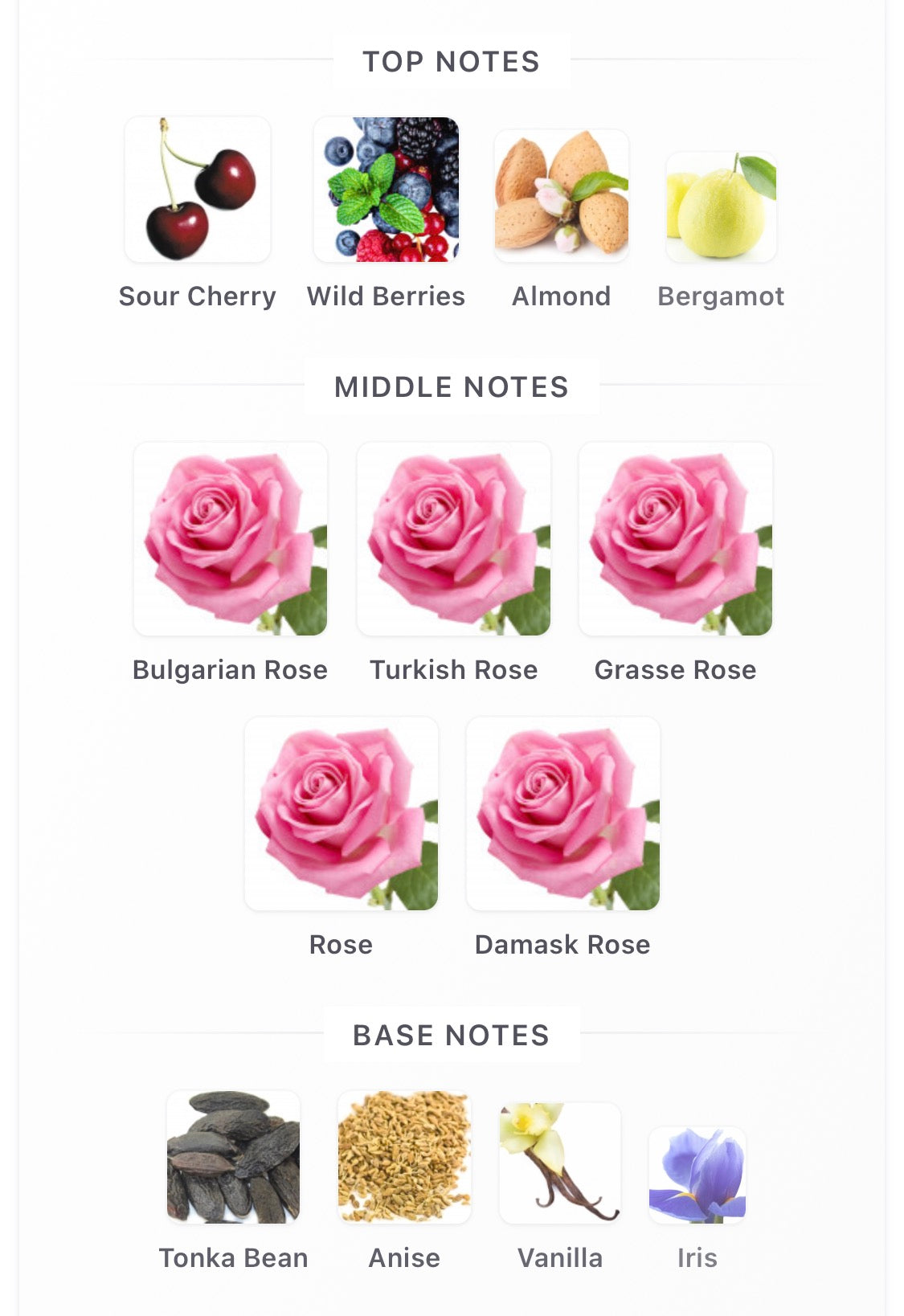 Fragrance World QUEEN Inspired by Inspired by Guerlain La Petite Robe Noire Rose Rose Rose