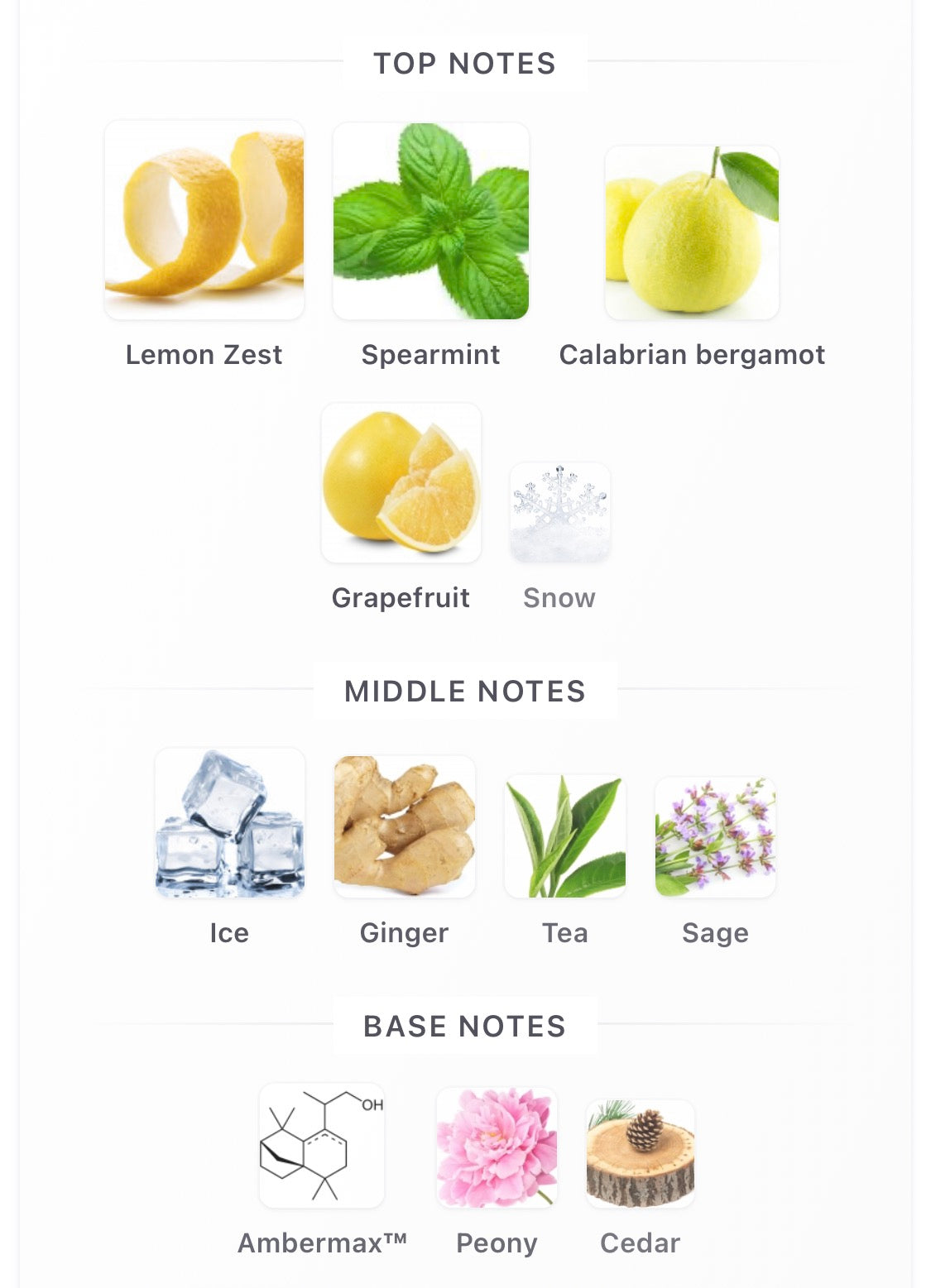 Riffs Perfumes FREEZE