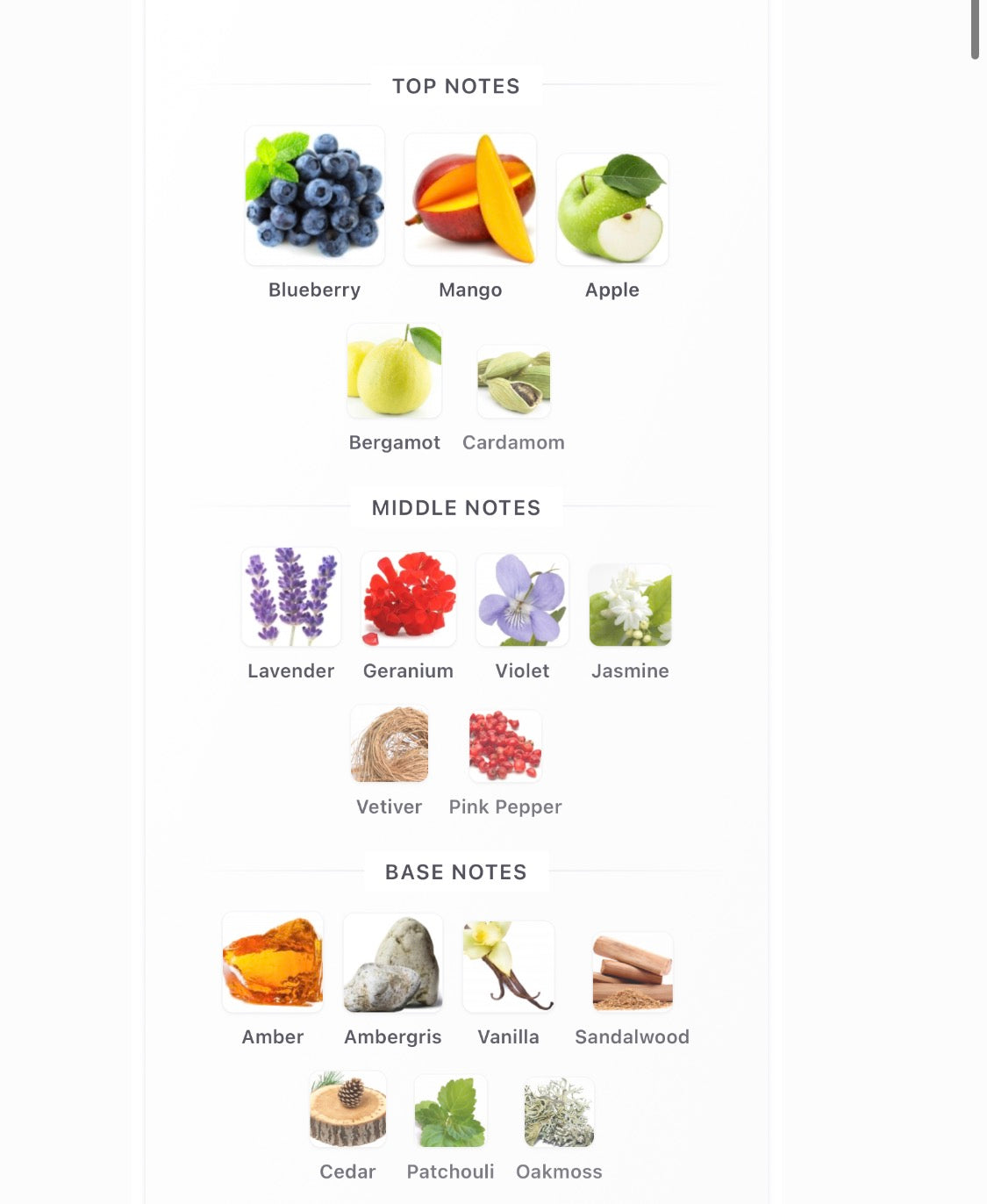 Aromatix Frostbite