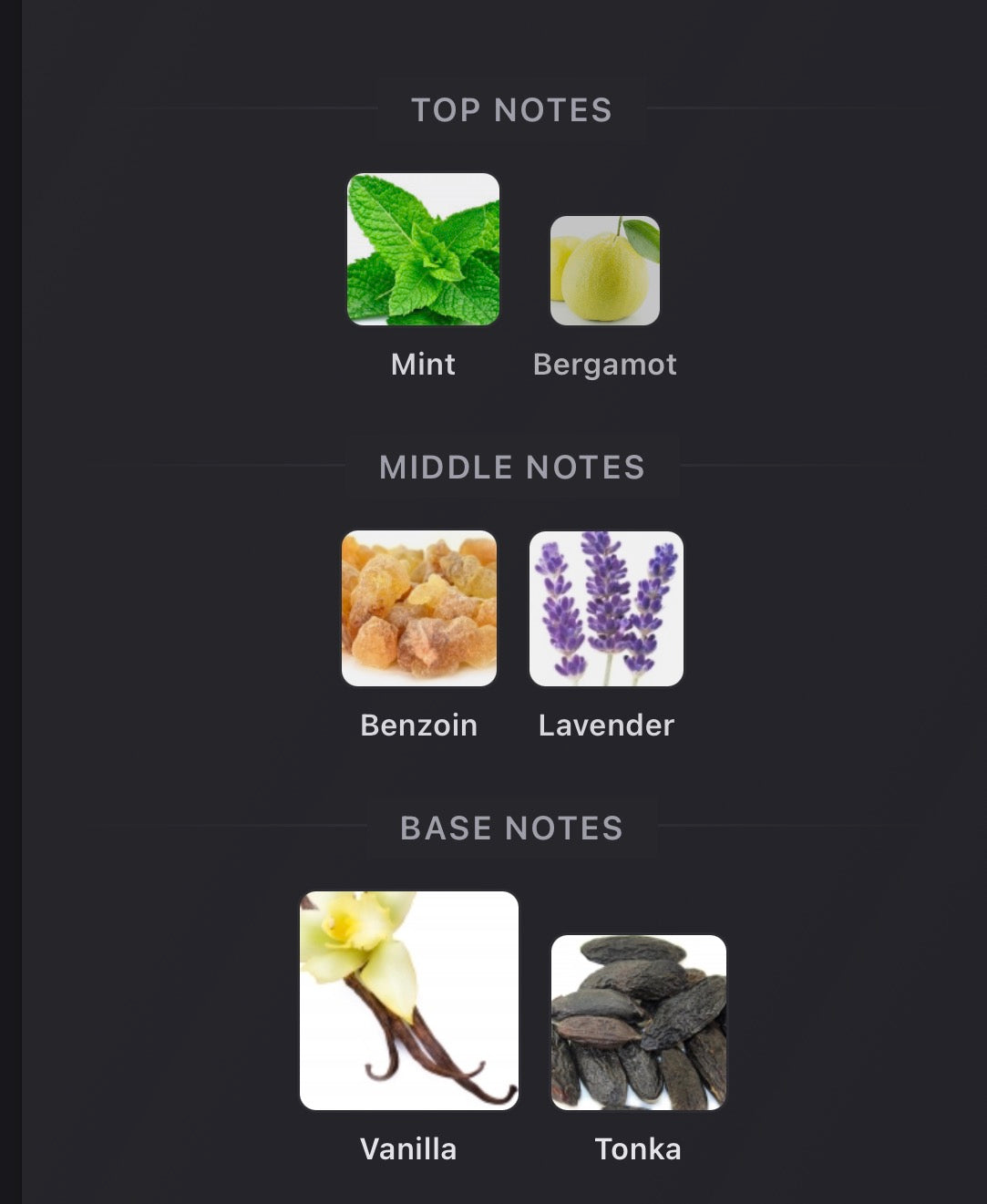 Rayhaan ELIXIR Inspired by Le Male Elixir