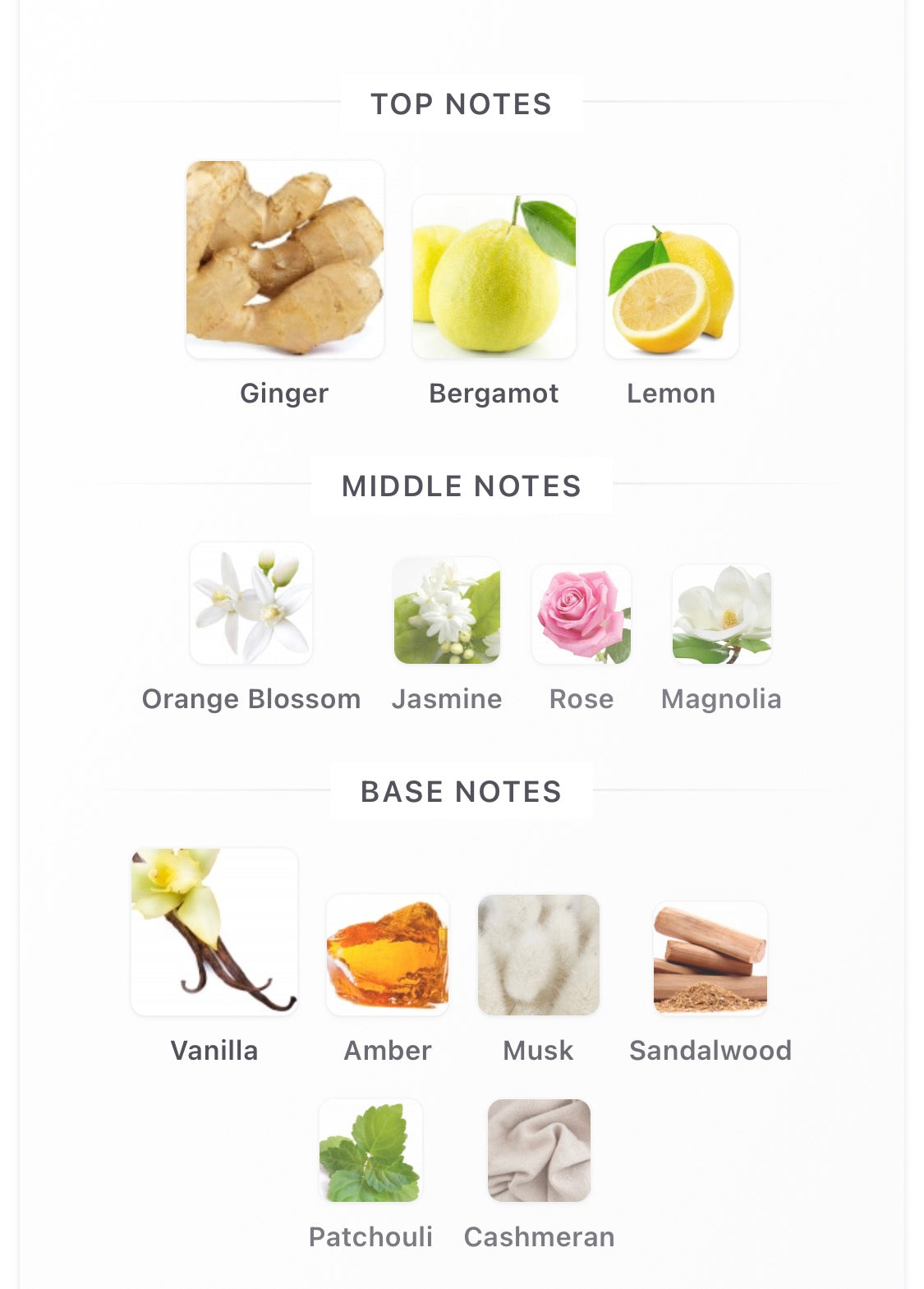 French Avenue RAVINE GINGER Inspired by Goldfield & Banks Ingenious Ginger